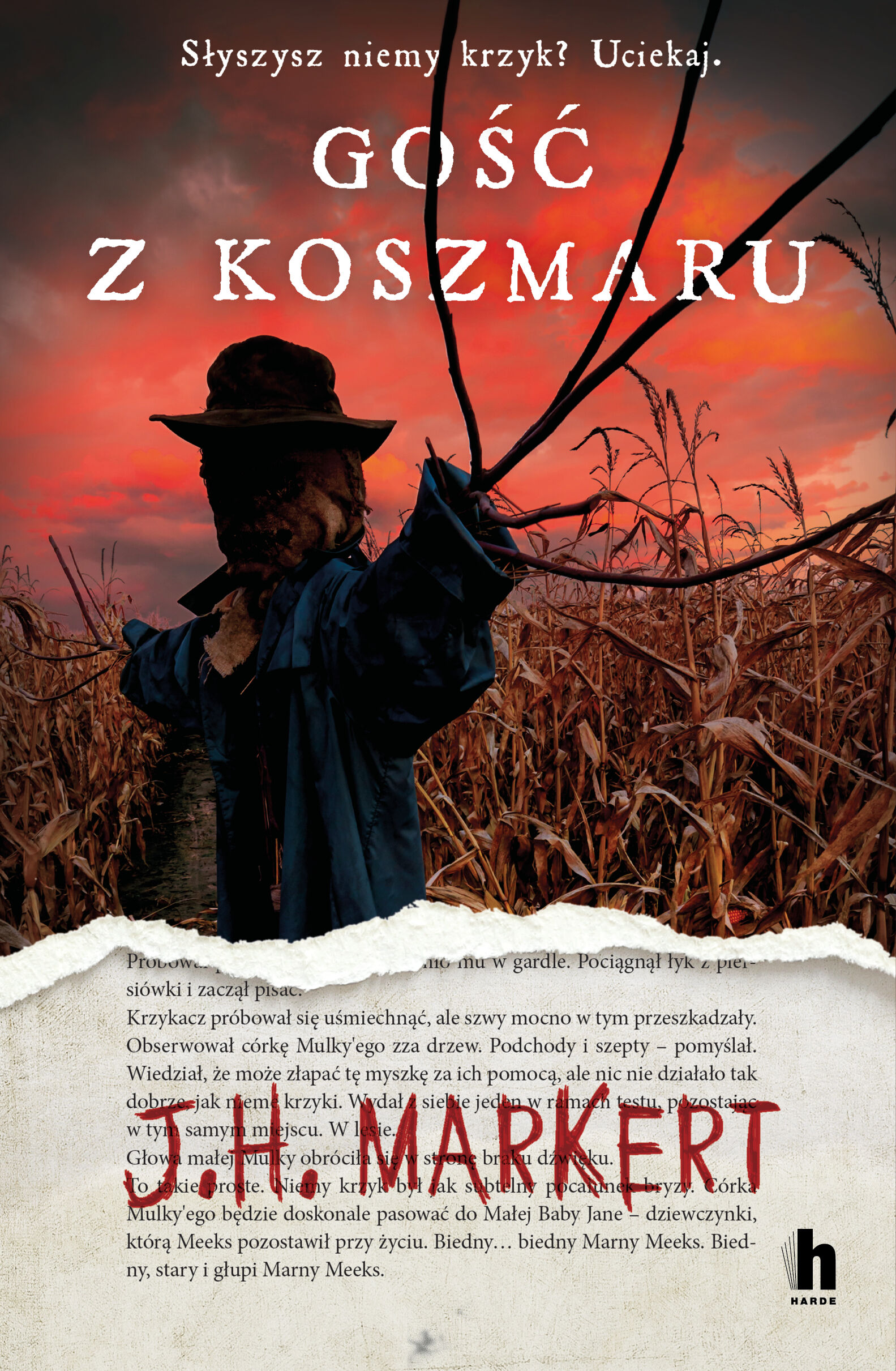 Gość z koszmaru (e-book)