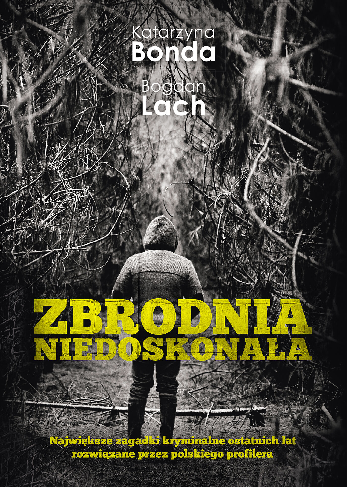 Zbrodnia niedoskonała (e-book)