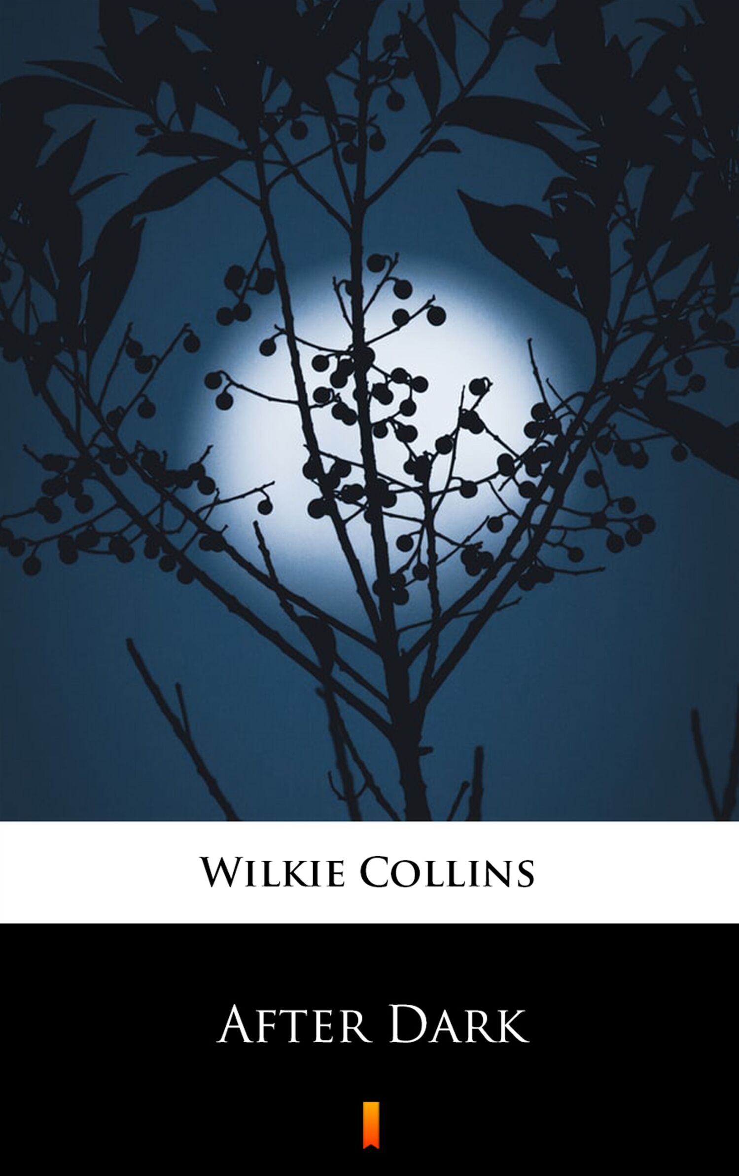After Dark (e-book)