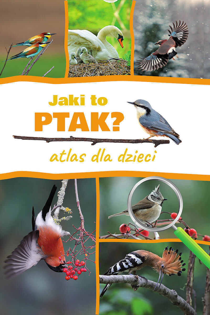 Jaki to ptak? atlas dla dzieci