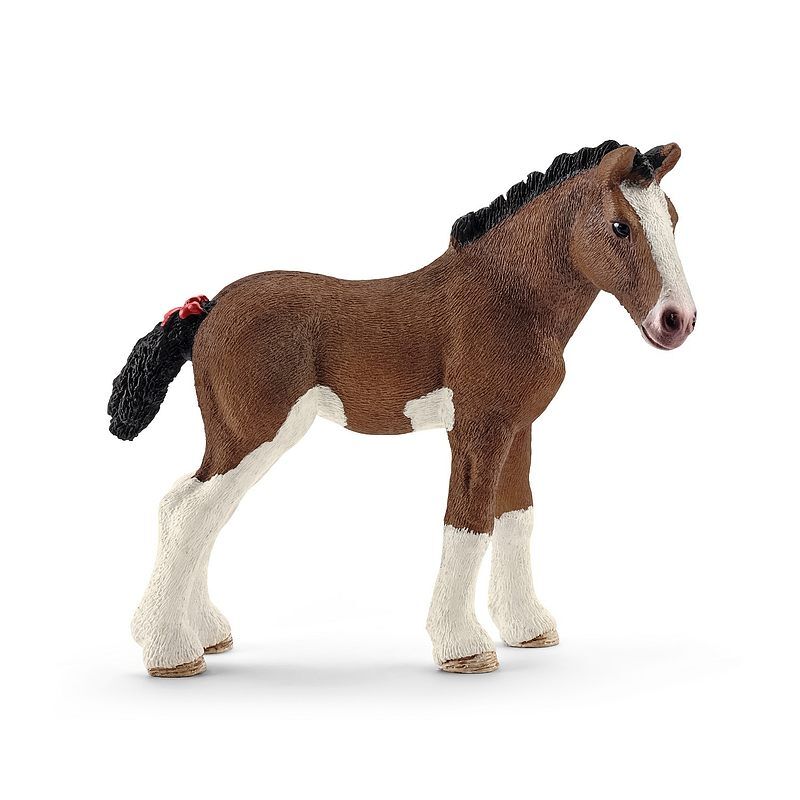 Źrebię rasy clydesdale slh13810