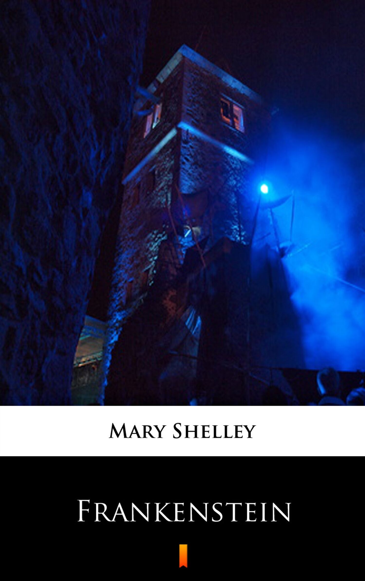 Frankenstein (e-book)