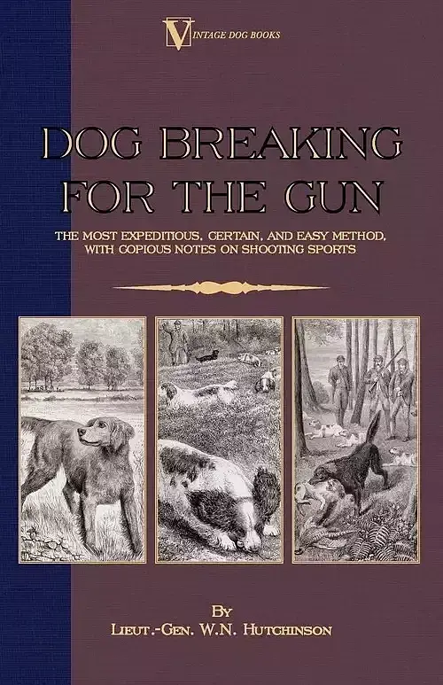 Dog Breaking for the Gun