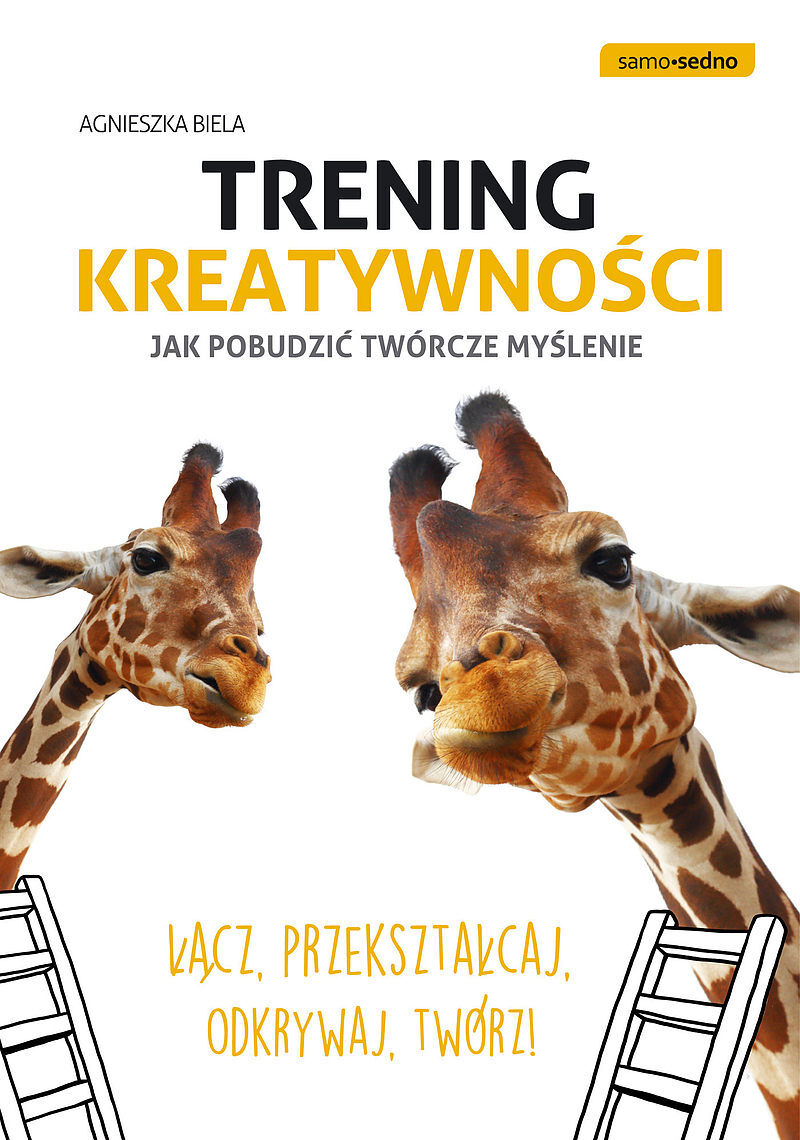 Samo Sedno - Trening kreatywności