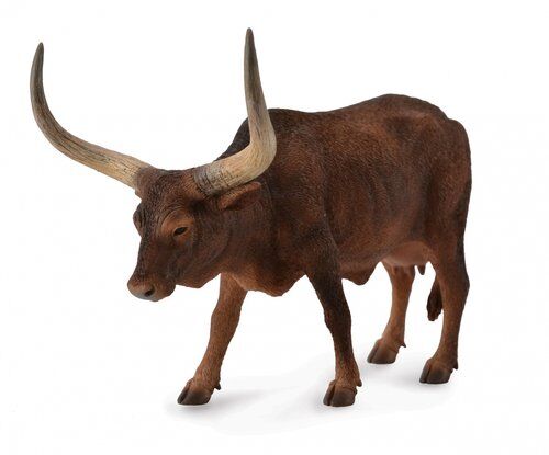 Krowa Ankole-Watusi