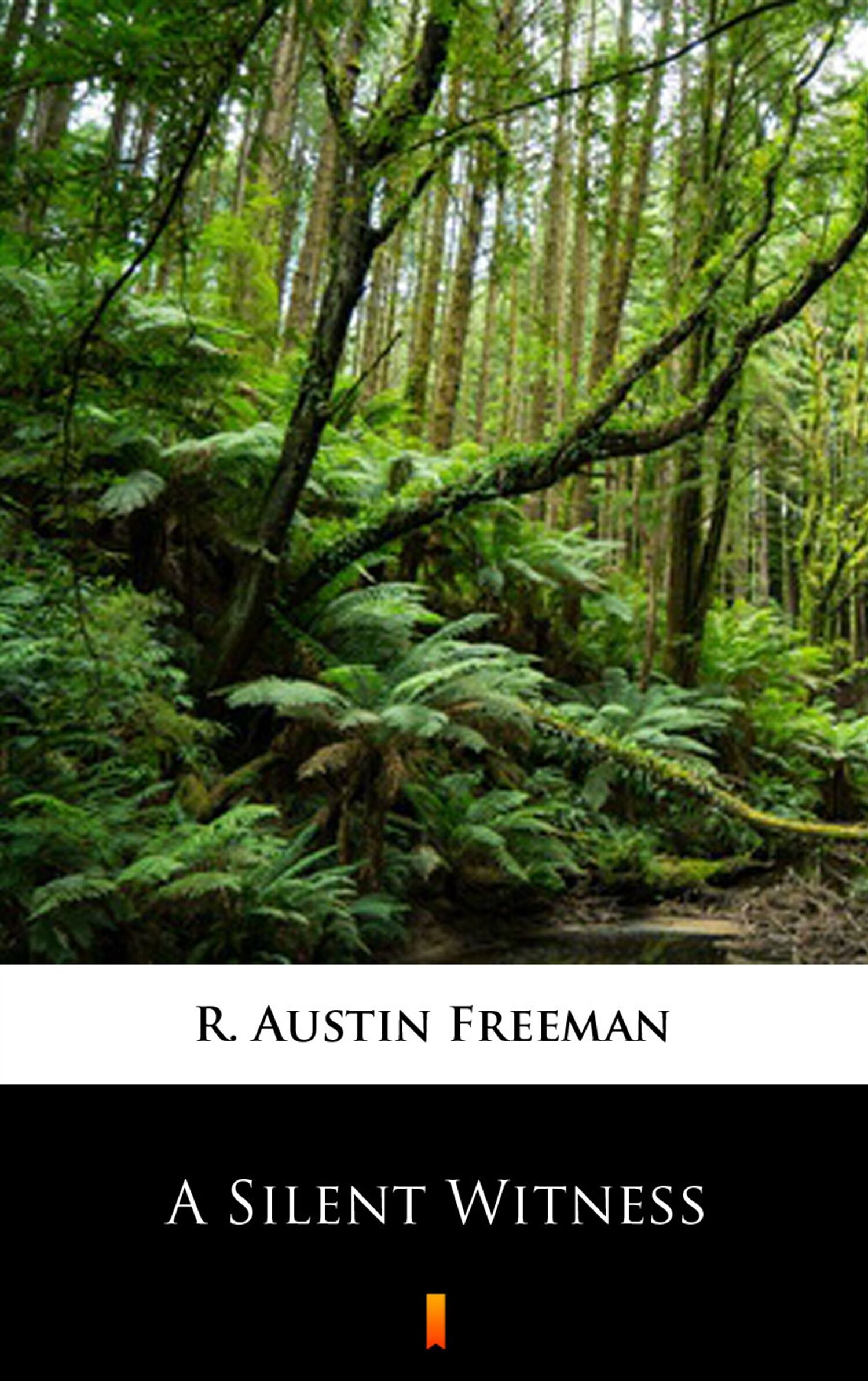 A Silent Witness (e-book)