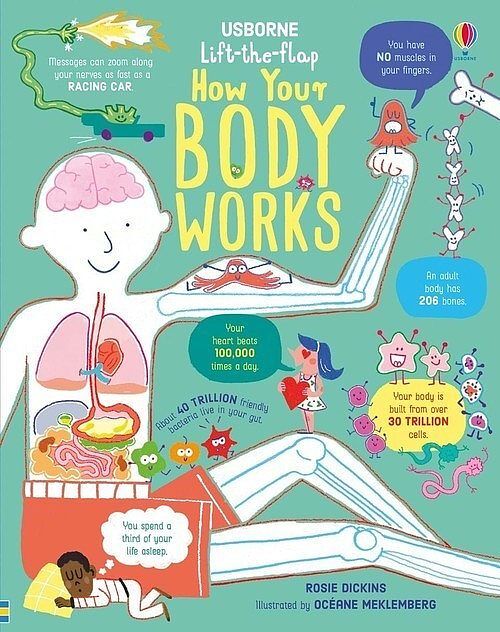 Lift-the-flap How Your Body Works
