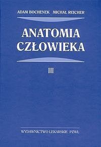 Anatomia człowieka