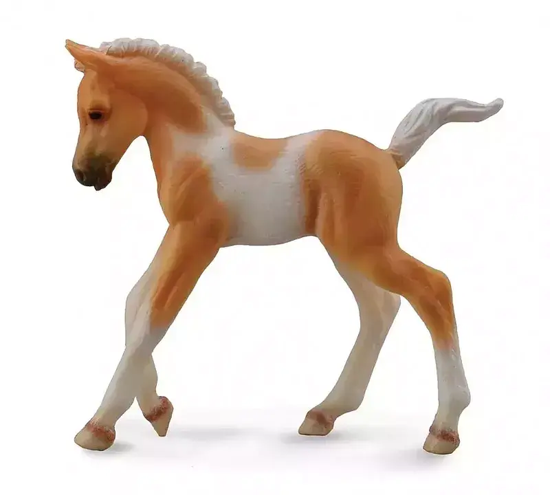 Żrebię M