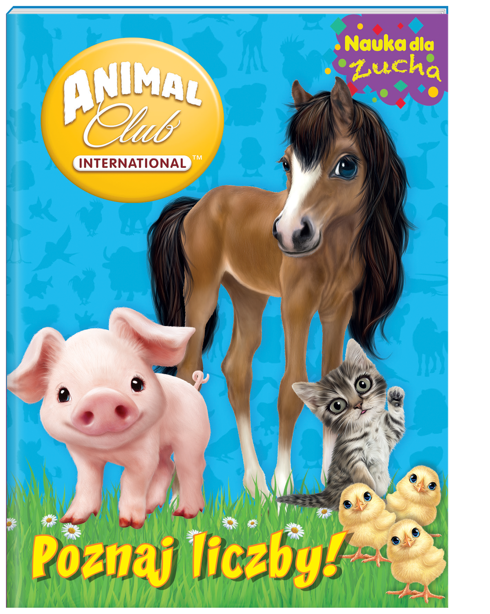 Animal Club Nauka dla zucha Poznaj liczby!