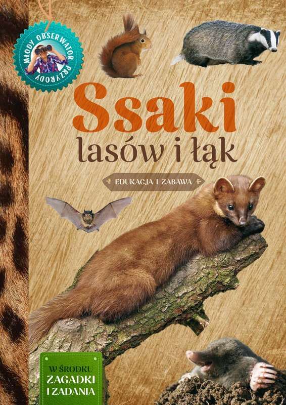 Ssaki lasów i łąk młody obserwator przyrody