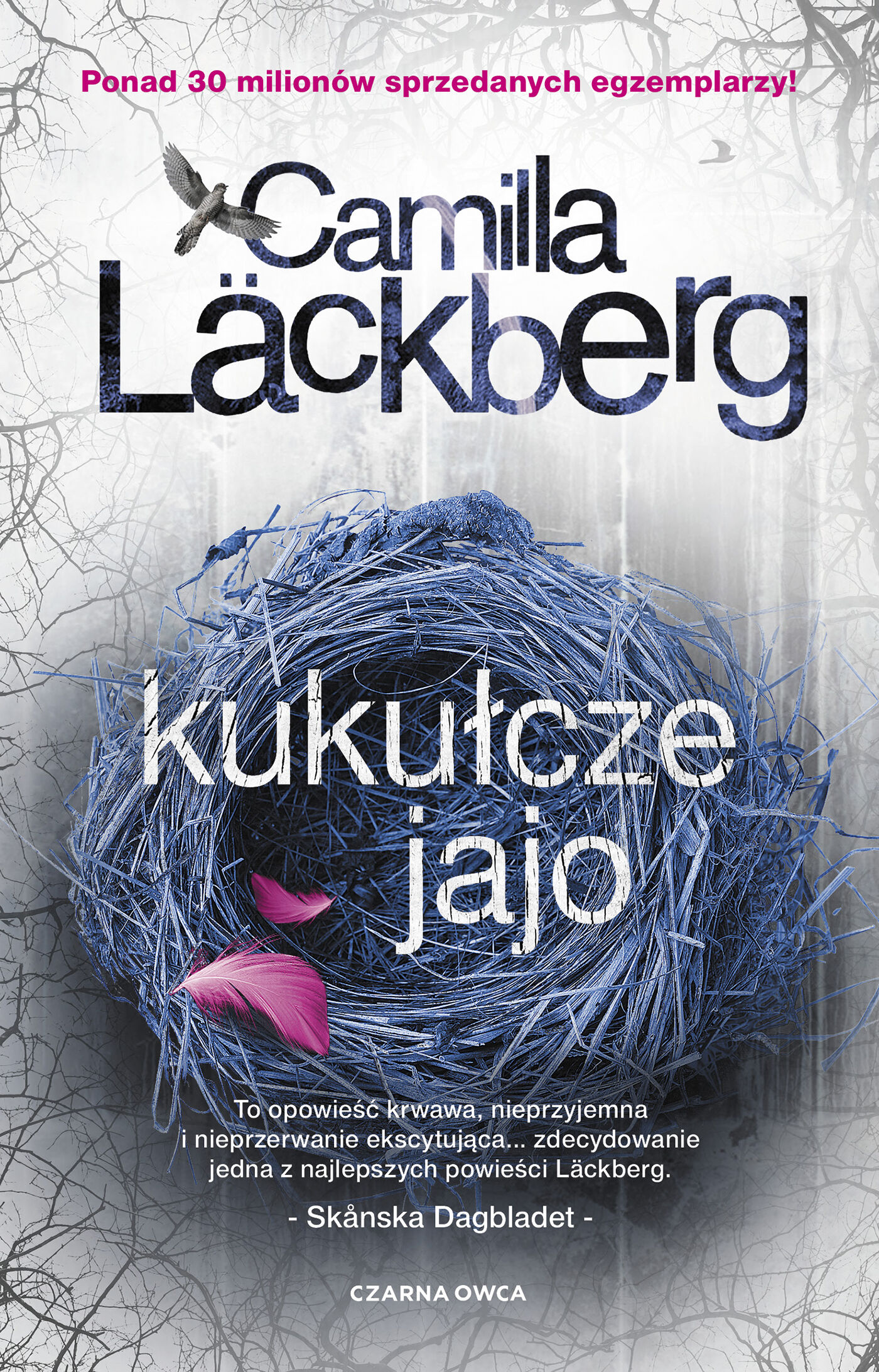 Kukułcze jajo (e-book)