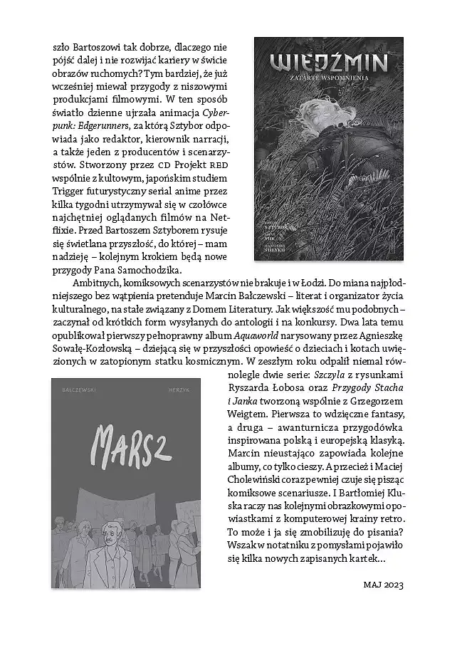 Komiksowy kalejdoskop. Historie obrazkowe w Polsce w XXI wieku