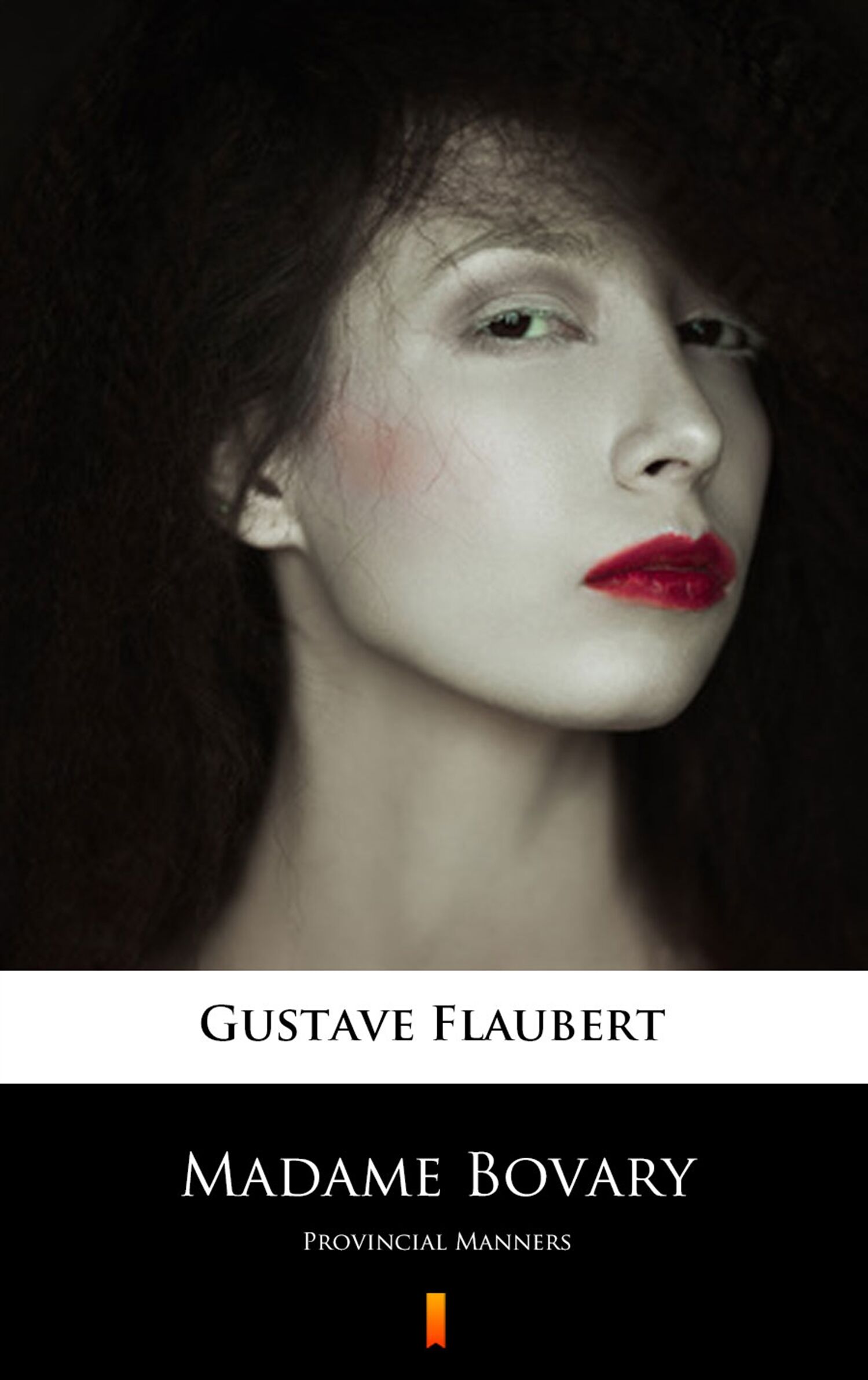 Madame Bovary (e-book)