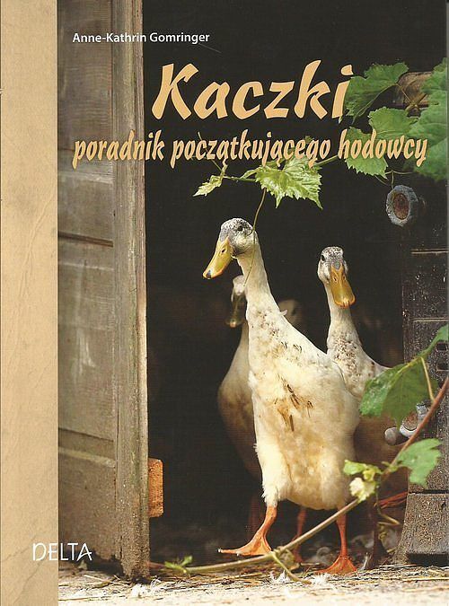Kaczki