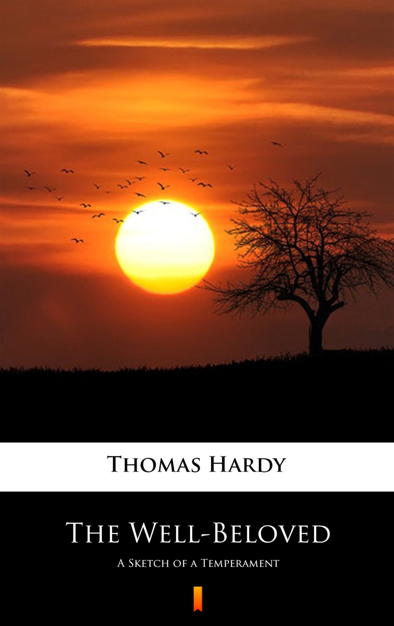 The Well-Beloved (e-book)