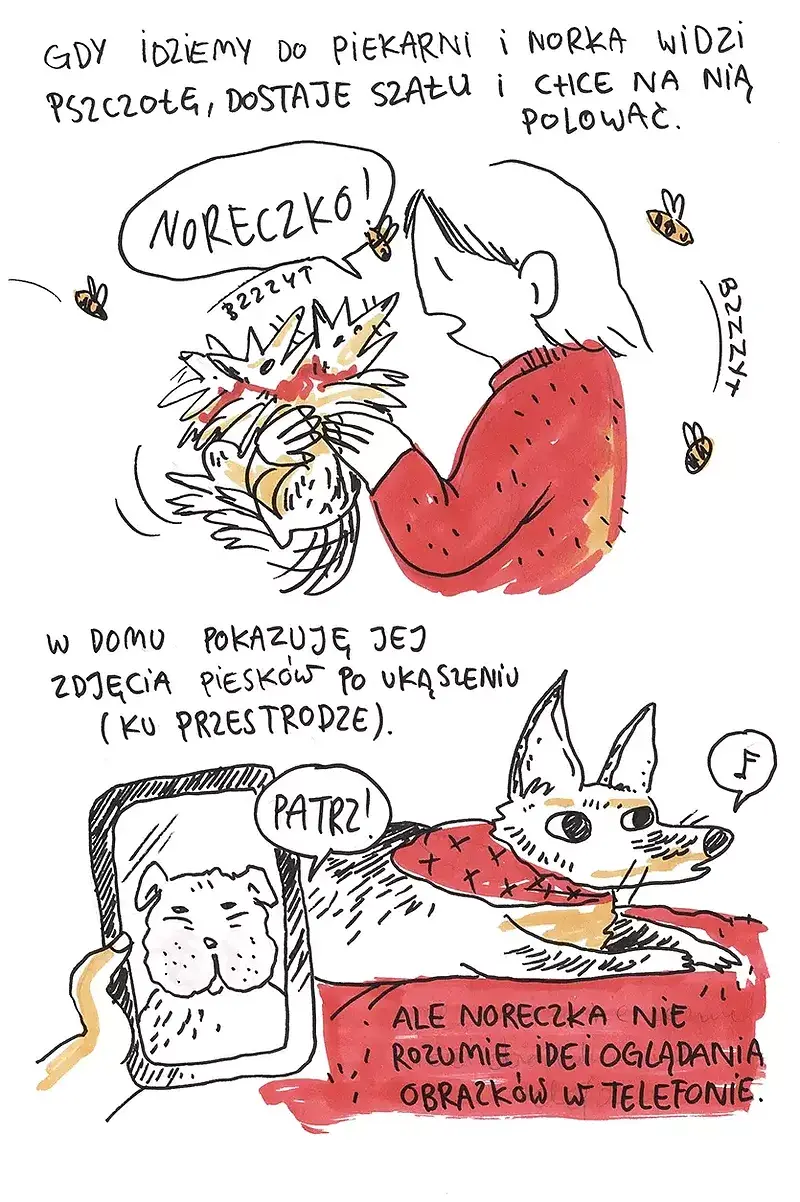 Miniatury