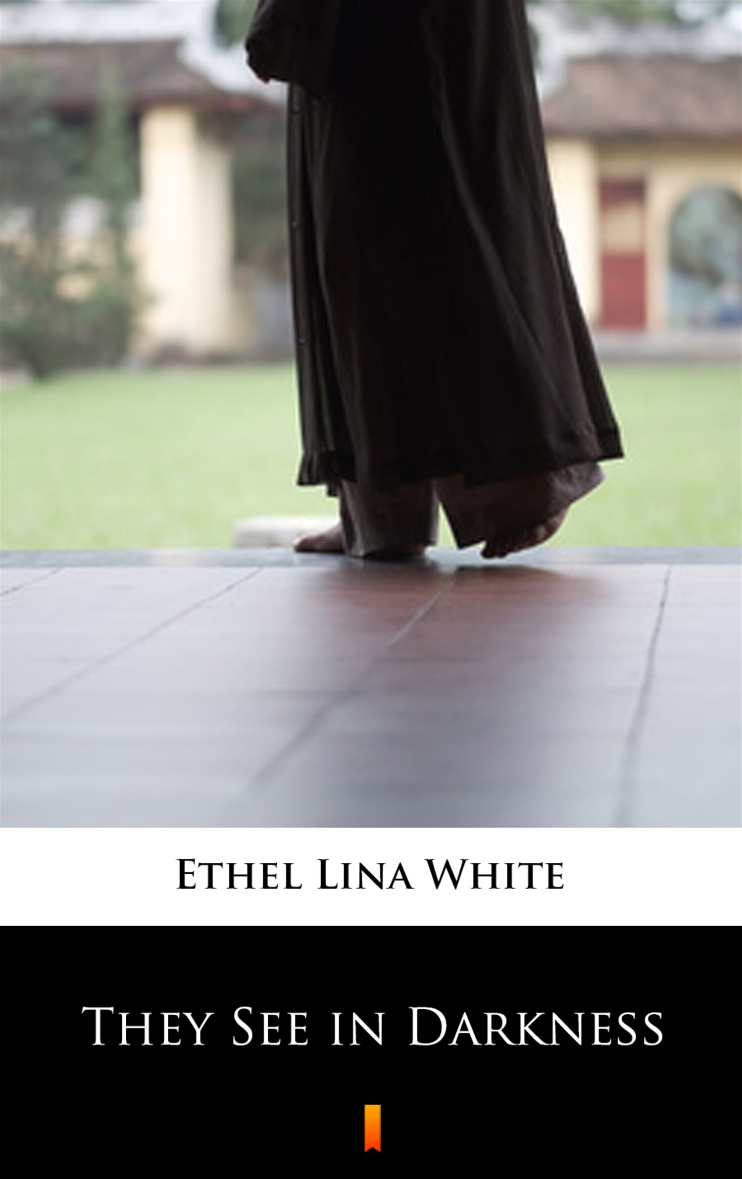 They See in Darkness (e-book)