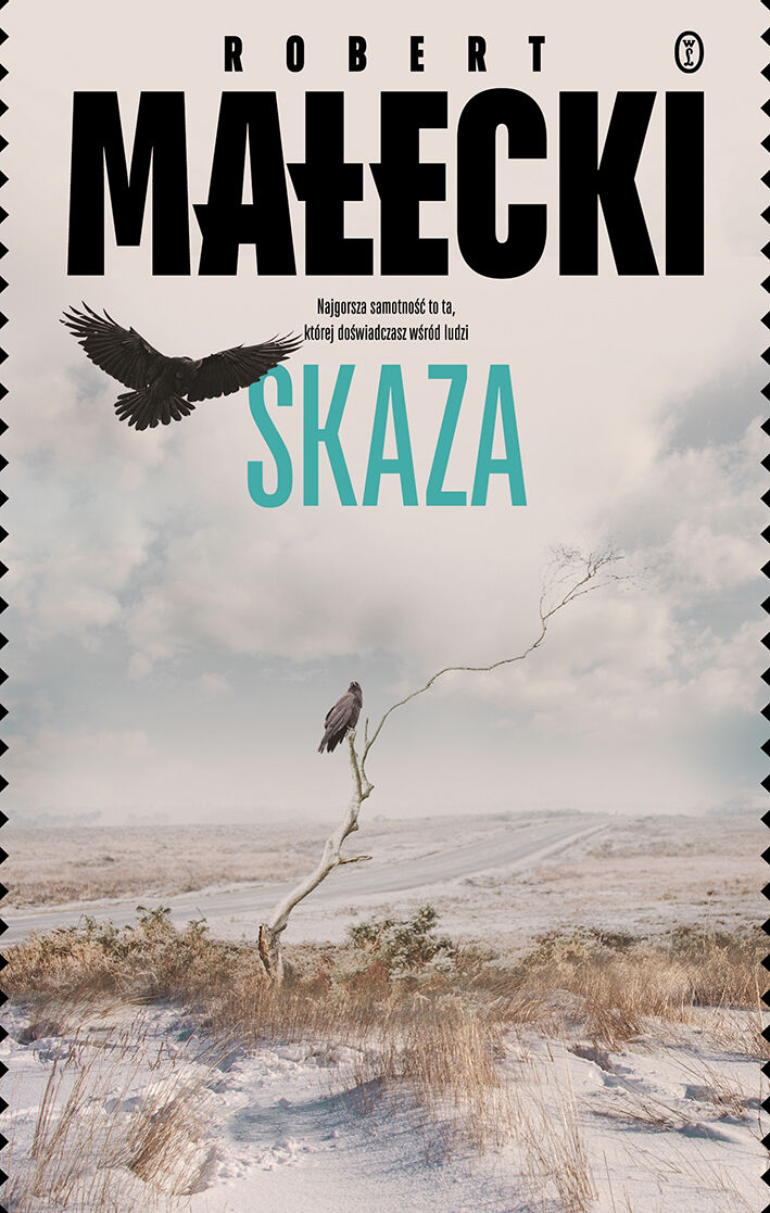 Skaza (e-book)