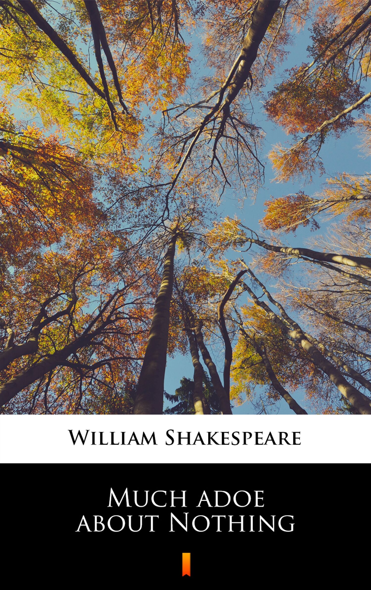 Much adoe about Nothing (e-book)