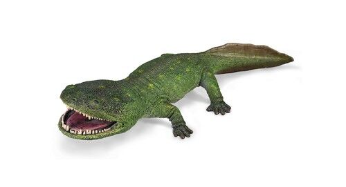 Koolasuchus cleelandi