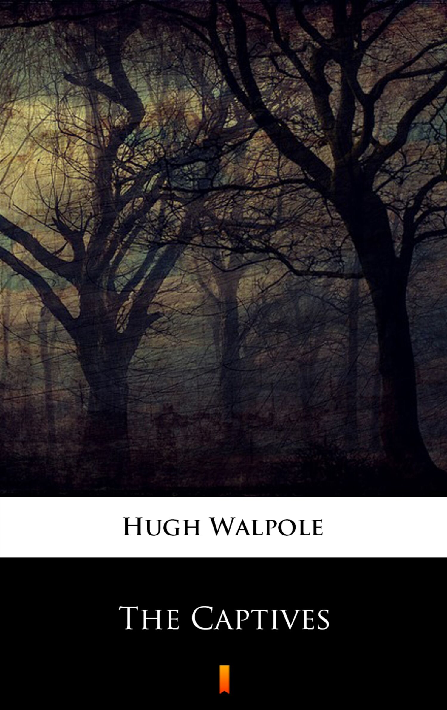 The Captives (e-book)