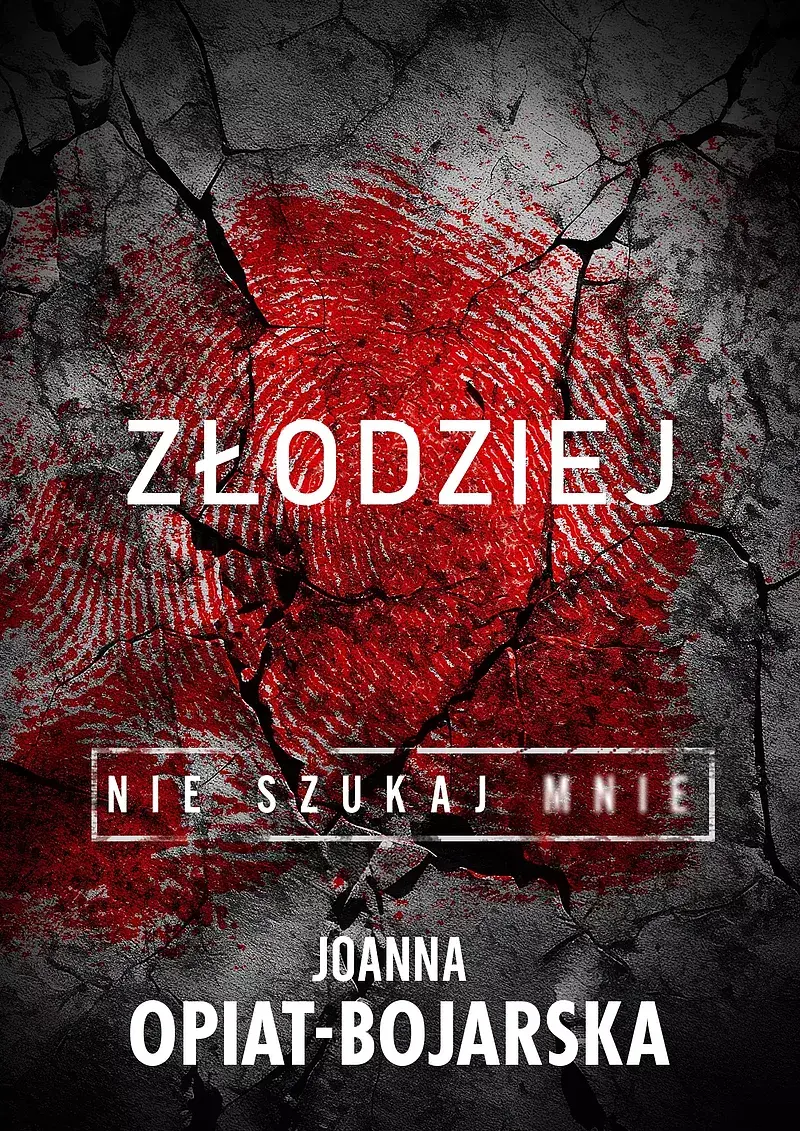 Złodziej. Nie szukaj mnie. Tom 1
