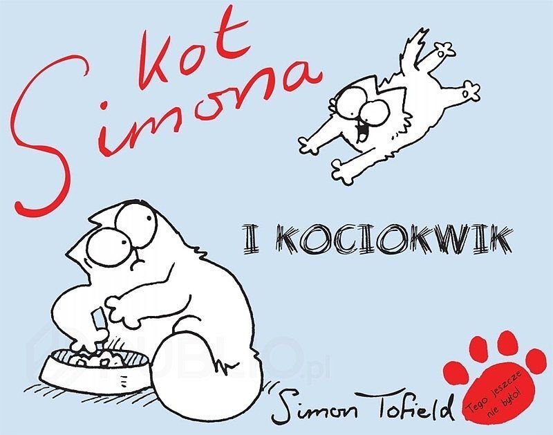Kot Simona - 3 - i kociokwik