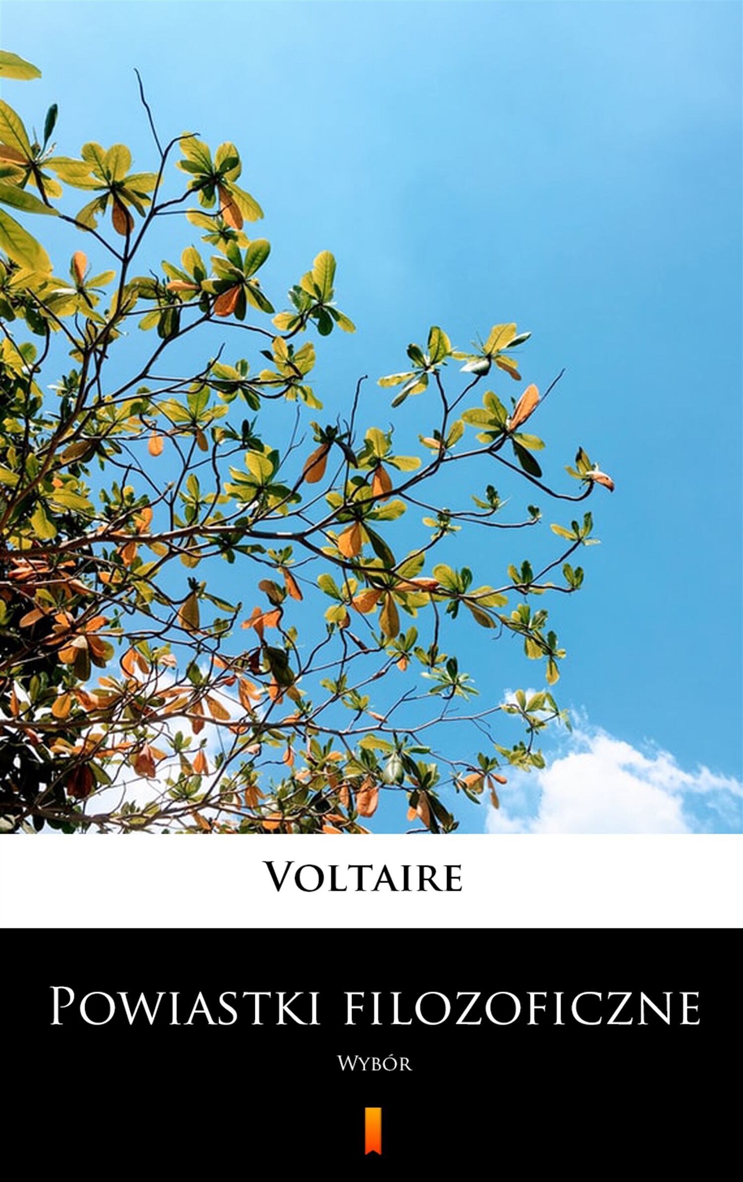 Powiastki filozoficzne (e-book)