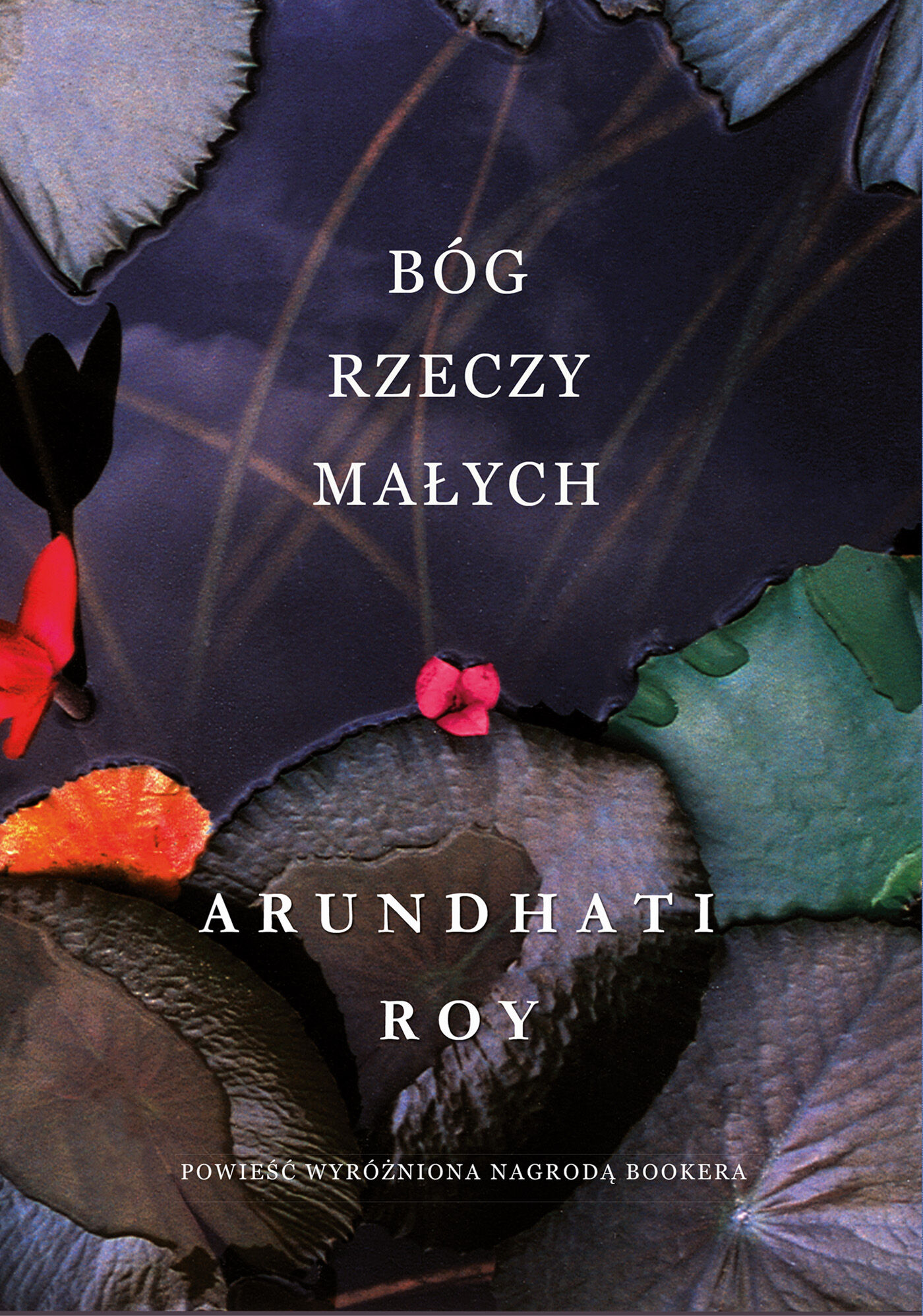 Bóg Rzeczy Małych (e-book)