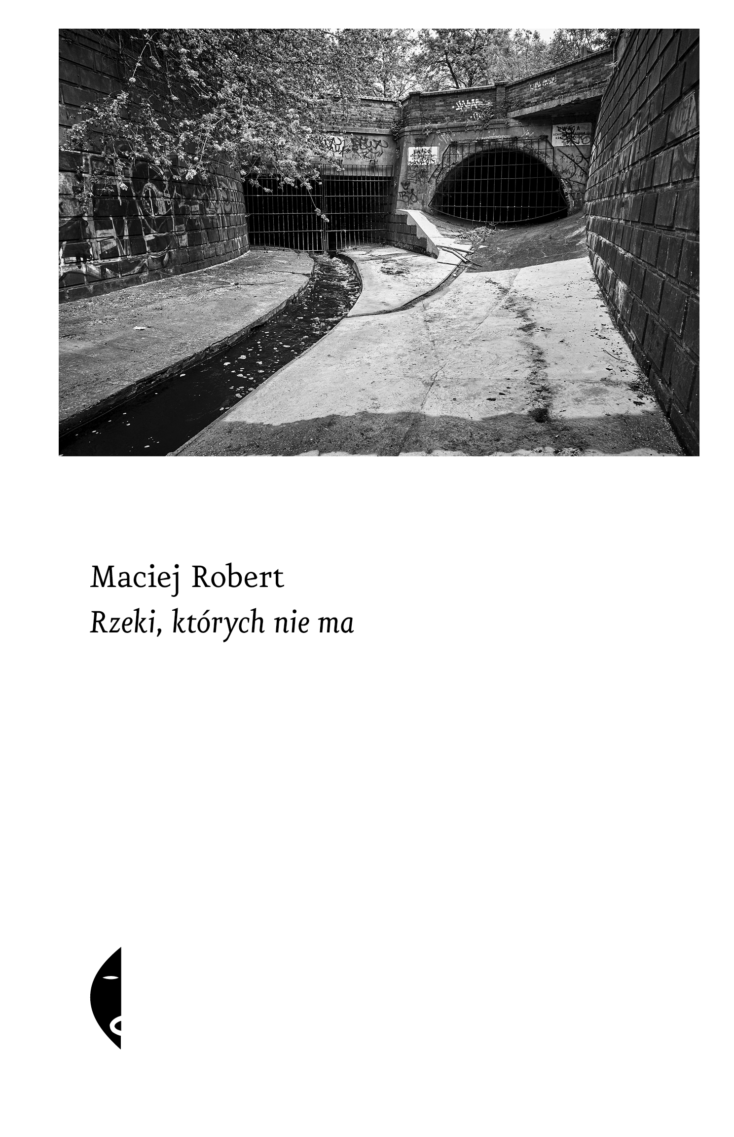 Rzeki, których nie ma (e-book)