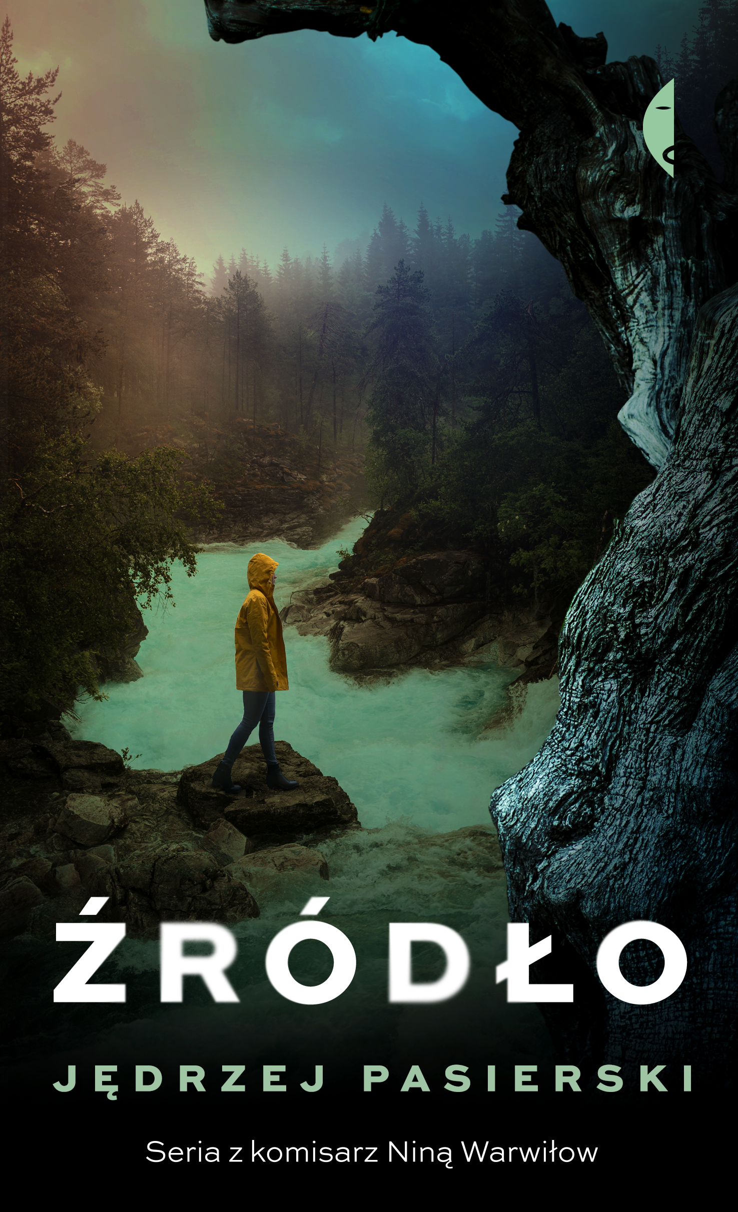 Źródło (e-book)