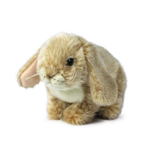 Królik kremowy 25cm