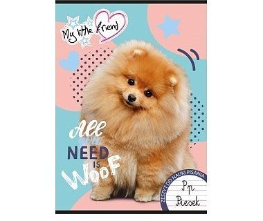 Zeszyt a5 16k kratka my little friend mix paczka 15 szt