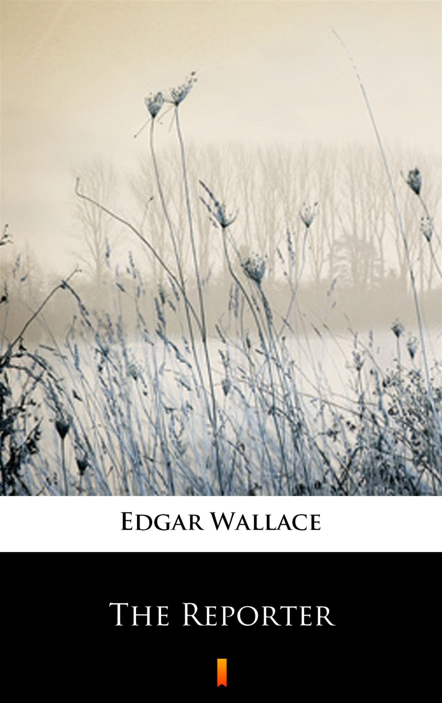 The Reporter (e-book)