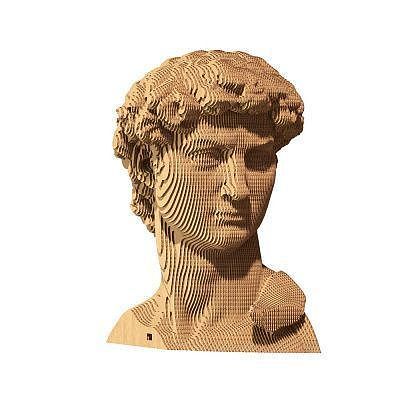 Puzzle 3d david cartonic