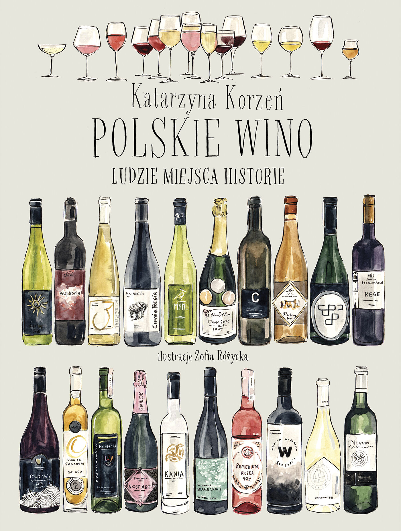 Polskie wino. Ludzie Miejsca Historie (e-book)