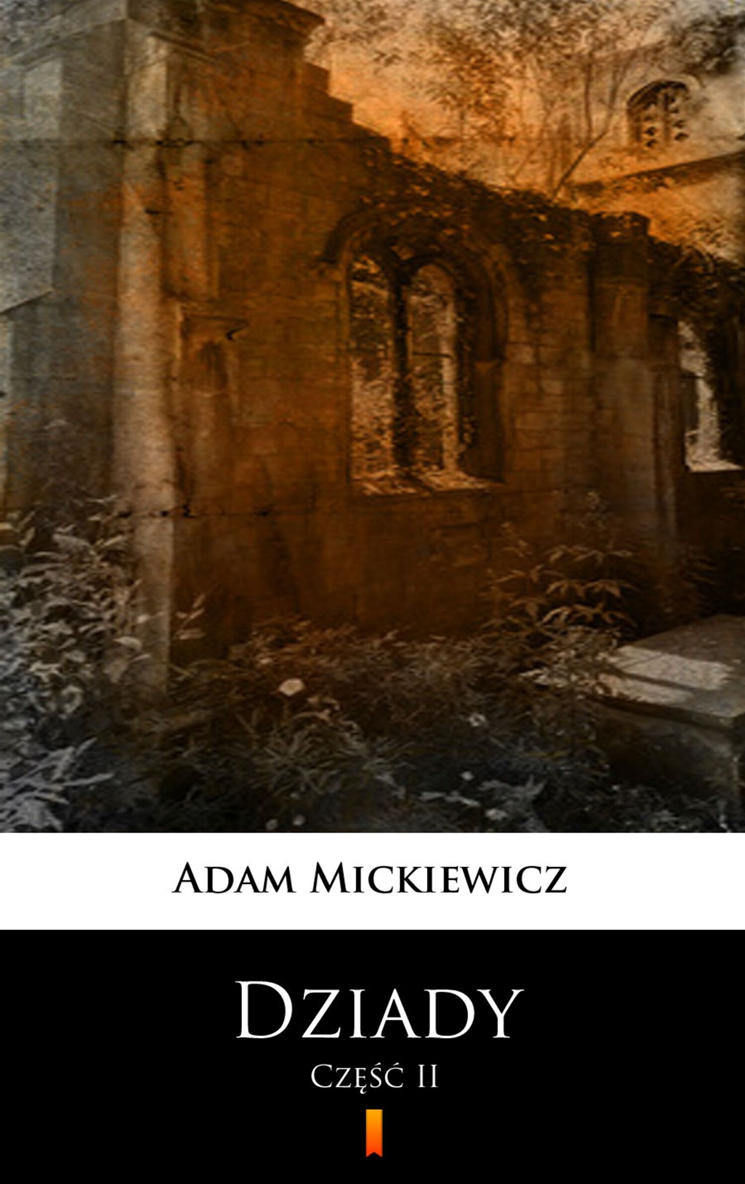 Dziady (e-book)