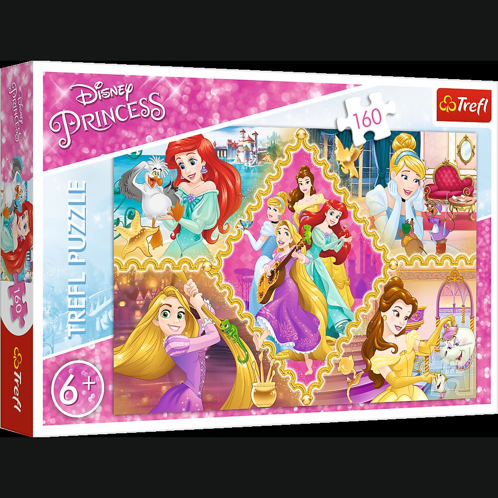 Puzzle 160 Przygody księżniczek 15358