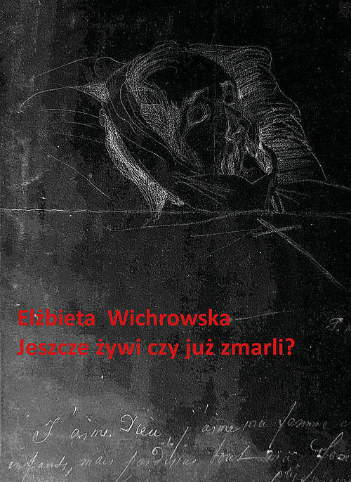 Jeszcze żywi czy już zmarli? Dziewiętnastowieczne dokumentacje emigracyjnego umierania