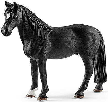 Wałach rasy tennessee walker slh13832