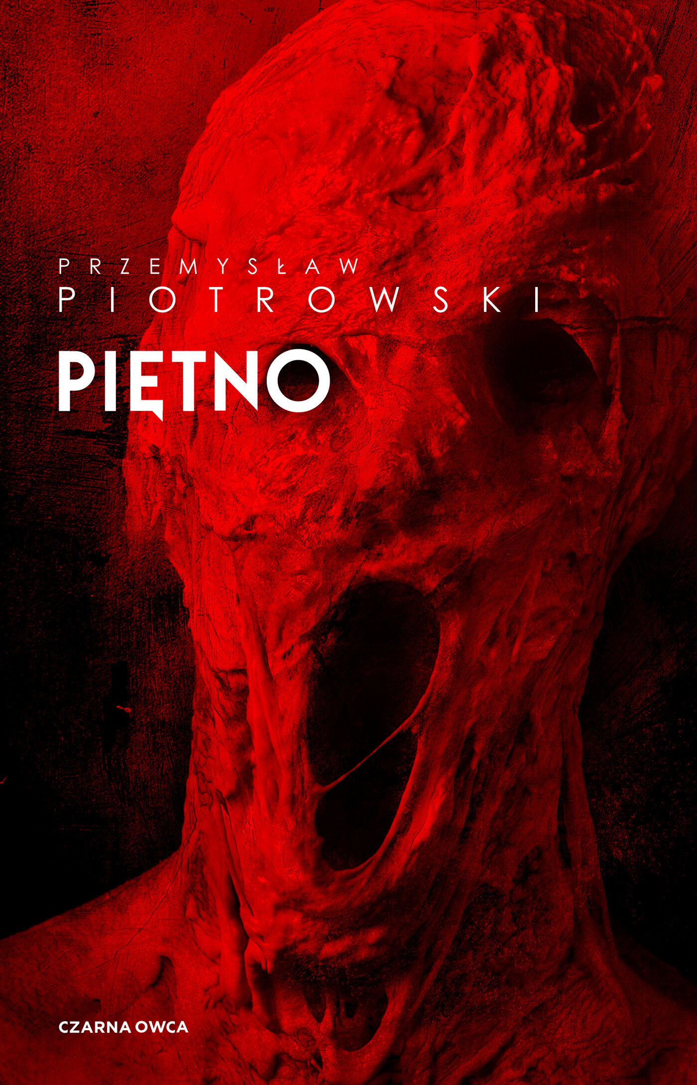 Piętno. Komisarz Brudny. Tom 1