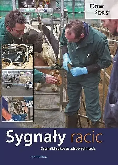 Sygnały racic
