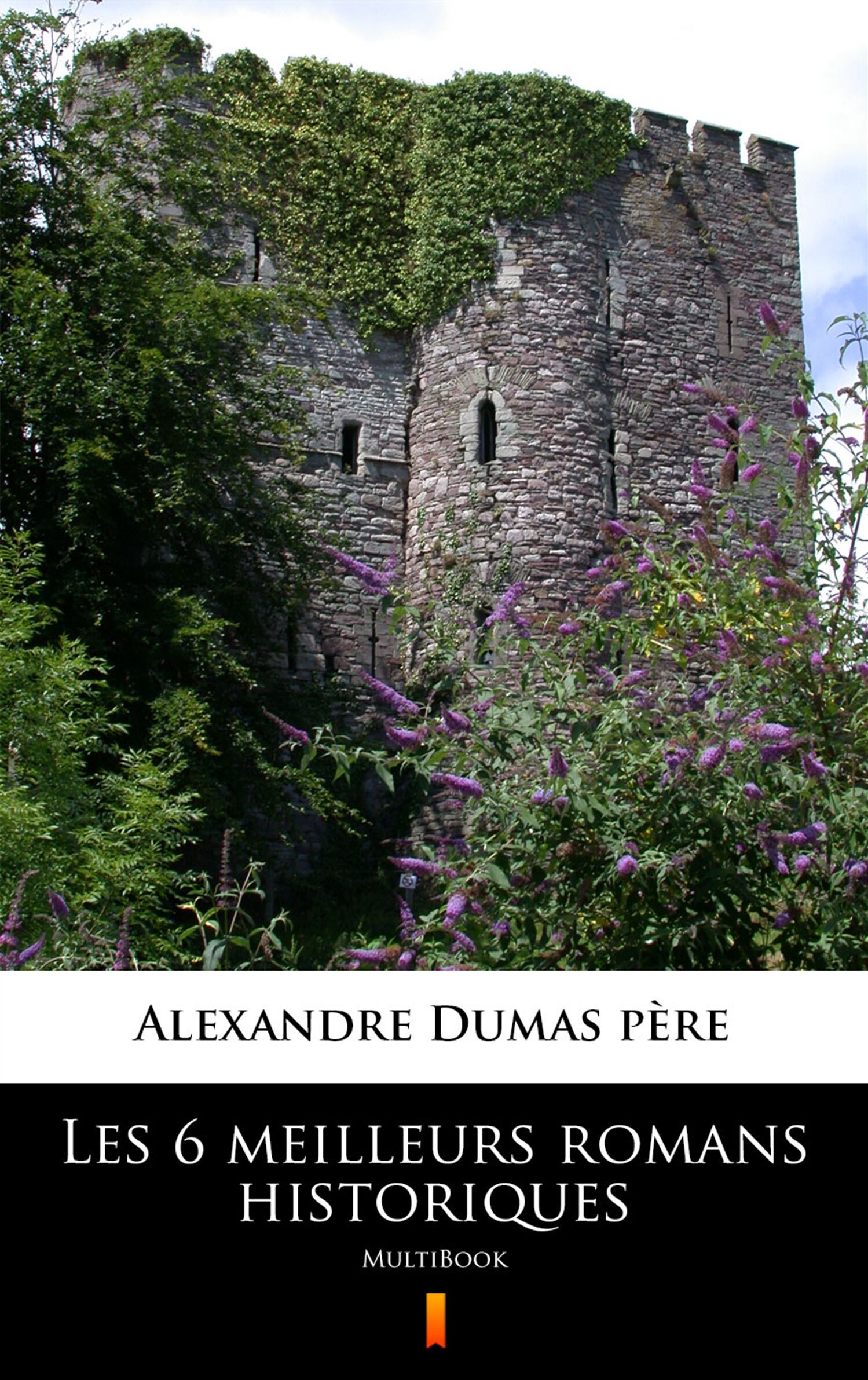 Les 6 meilleurs romans historiques (e-book)