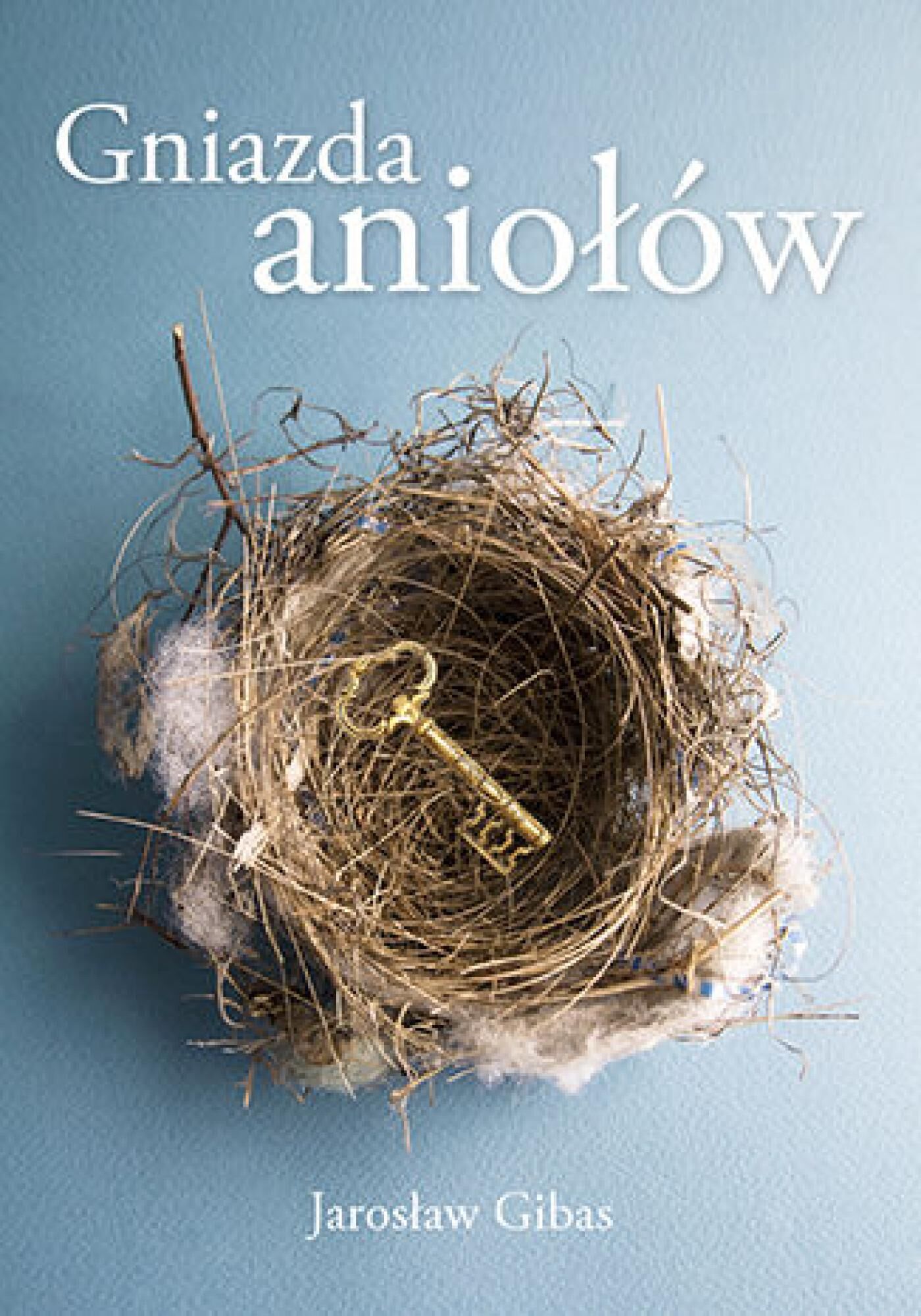 Gniazda aniołów (audiobook MP3)