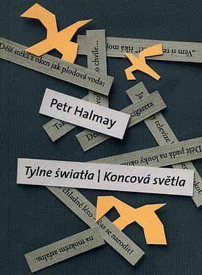 Tylne światła / Koncova svetla