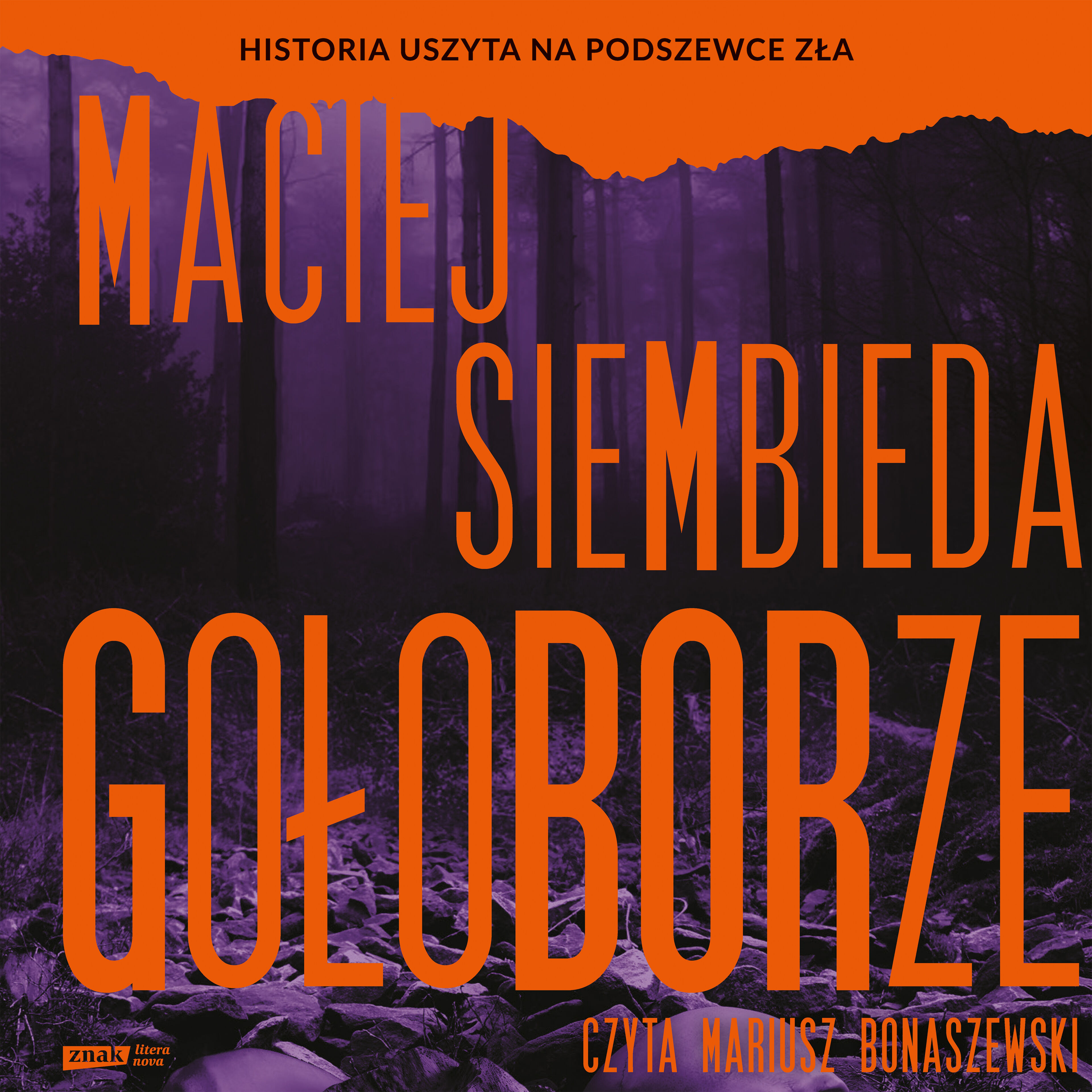 Gołoborze (audiobook MP3)