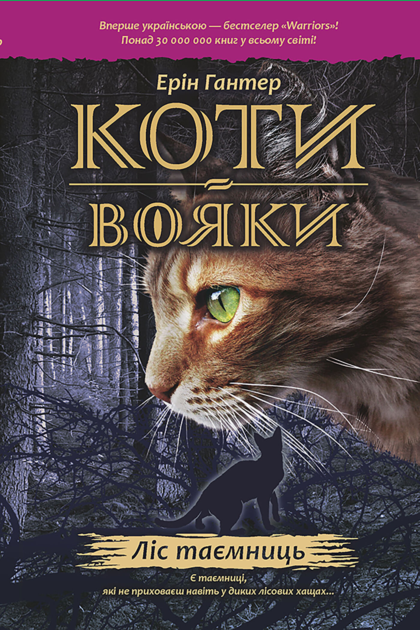 Ліс таємниць (e-book)