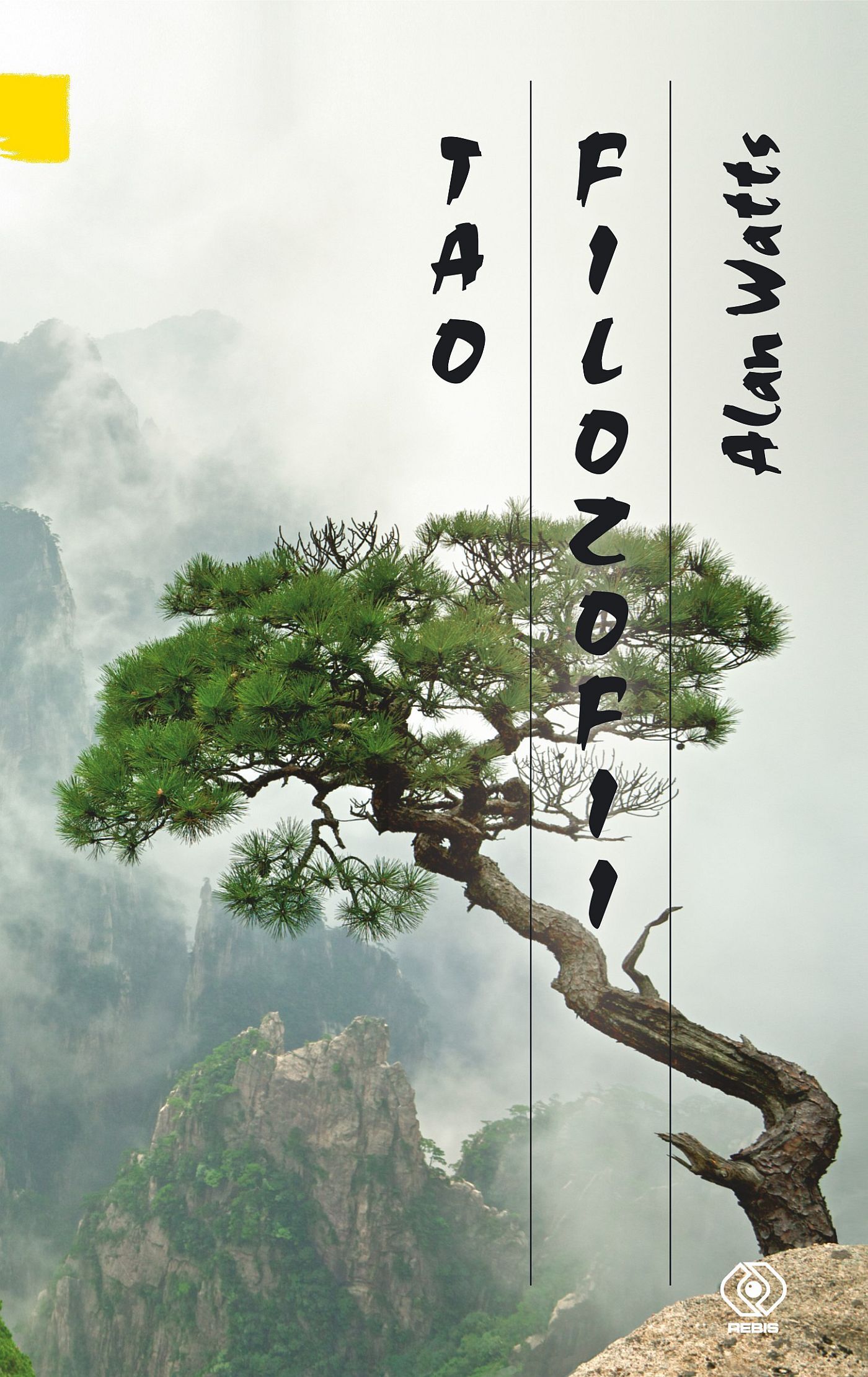 Tao filozofii (e-book)