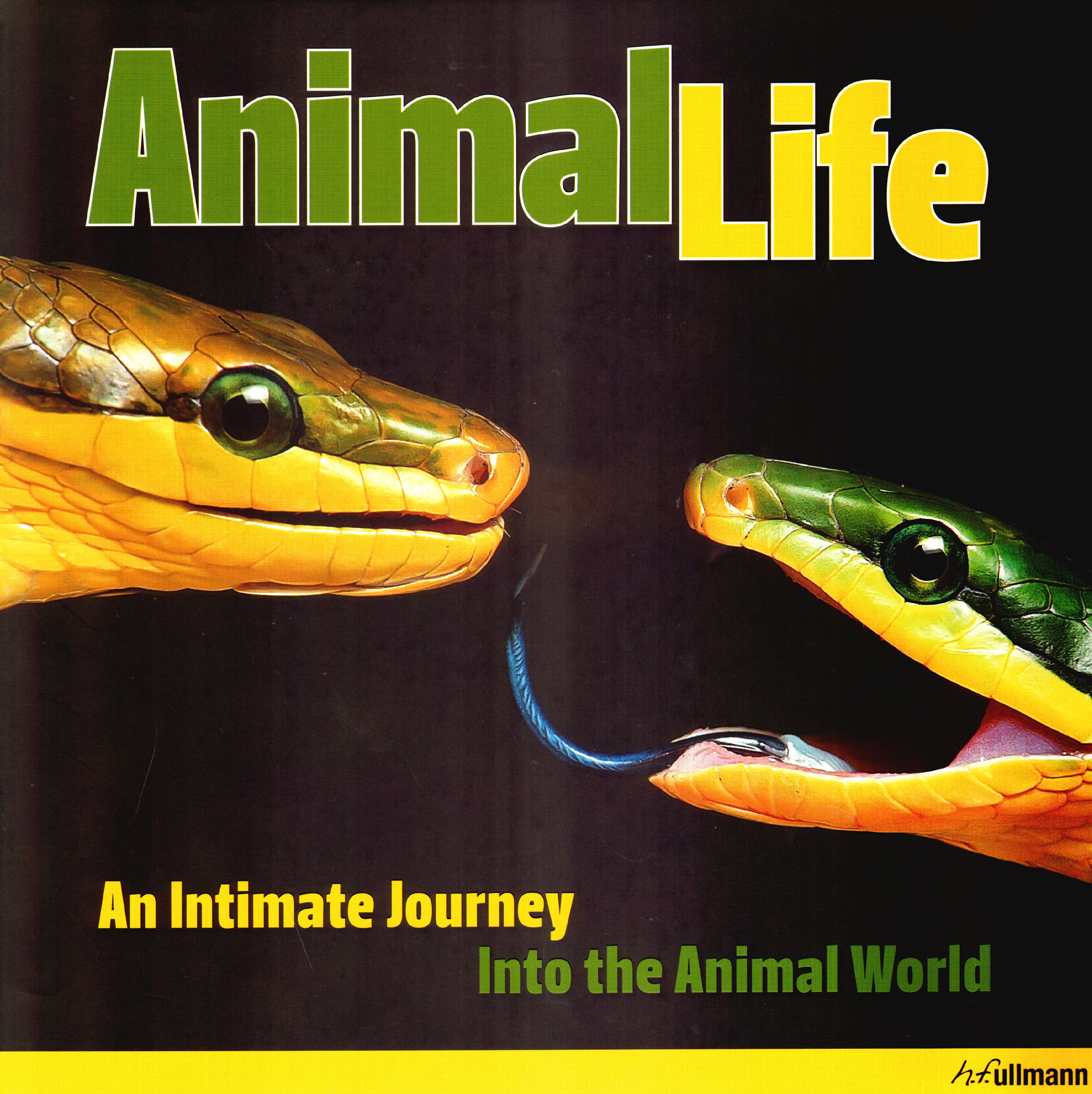 Animal life. An Intimate Journey. Into the Animal World